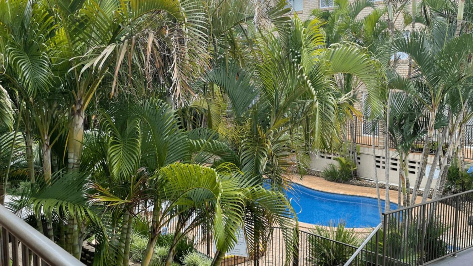 Cabarita Beachfront Apartments By Kingscliff Accommodation Экстерьер фото